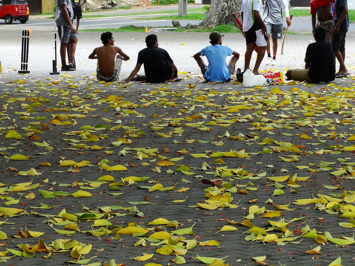 Children playing a street cricket match on a leaf-strewn road in Galle, Sri Lanka