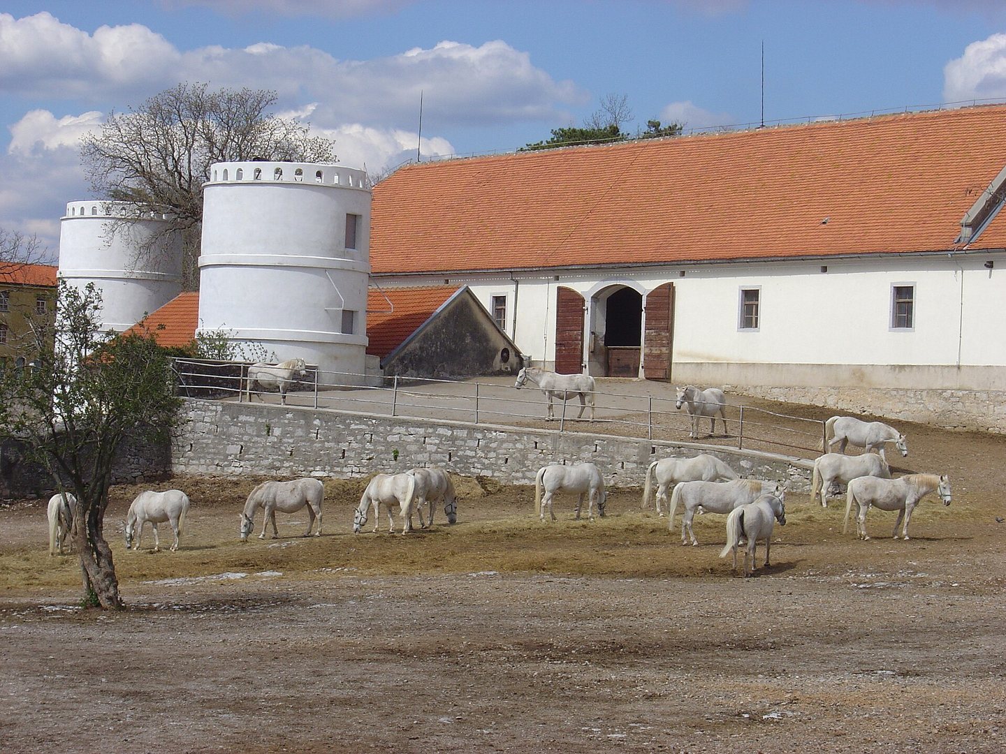 Historic stables and courtyard at the Lipica stud farm in the Slovenian karst