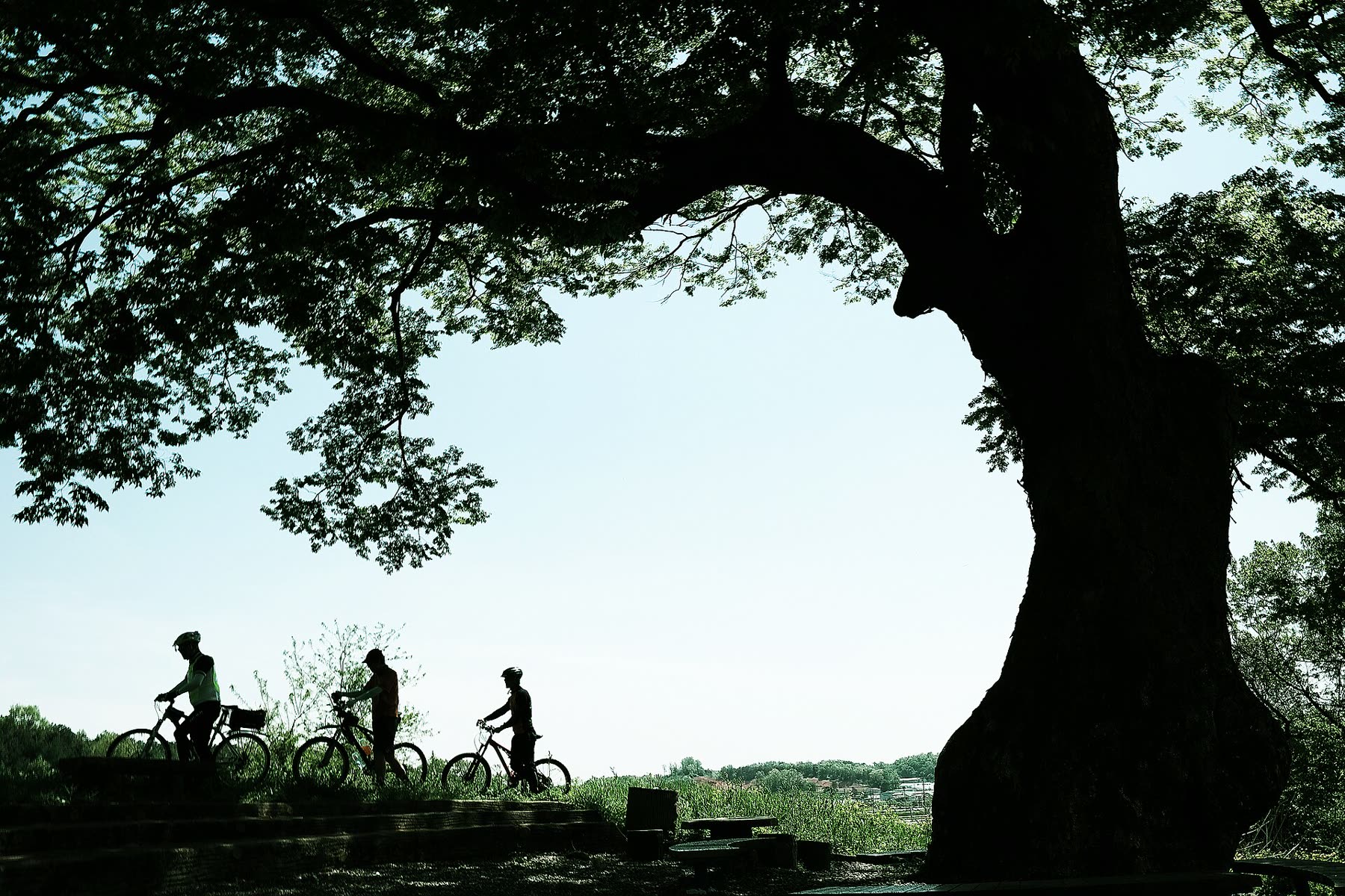 Cyclists riding a riverside cycle path in South Korea
